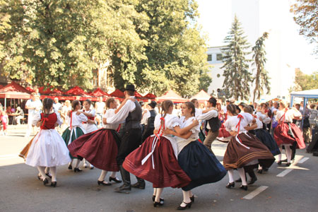 fotok-853
