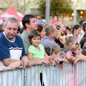 Kaláka koncert